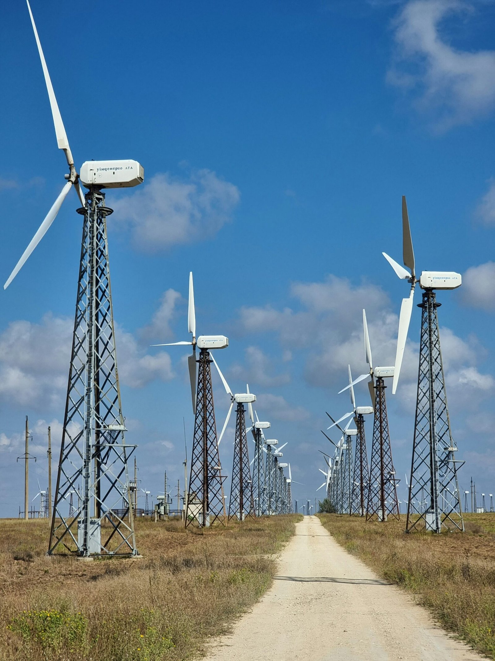 konstantin dyadyun 5 g1uvw7wrm unsplash